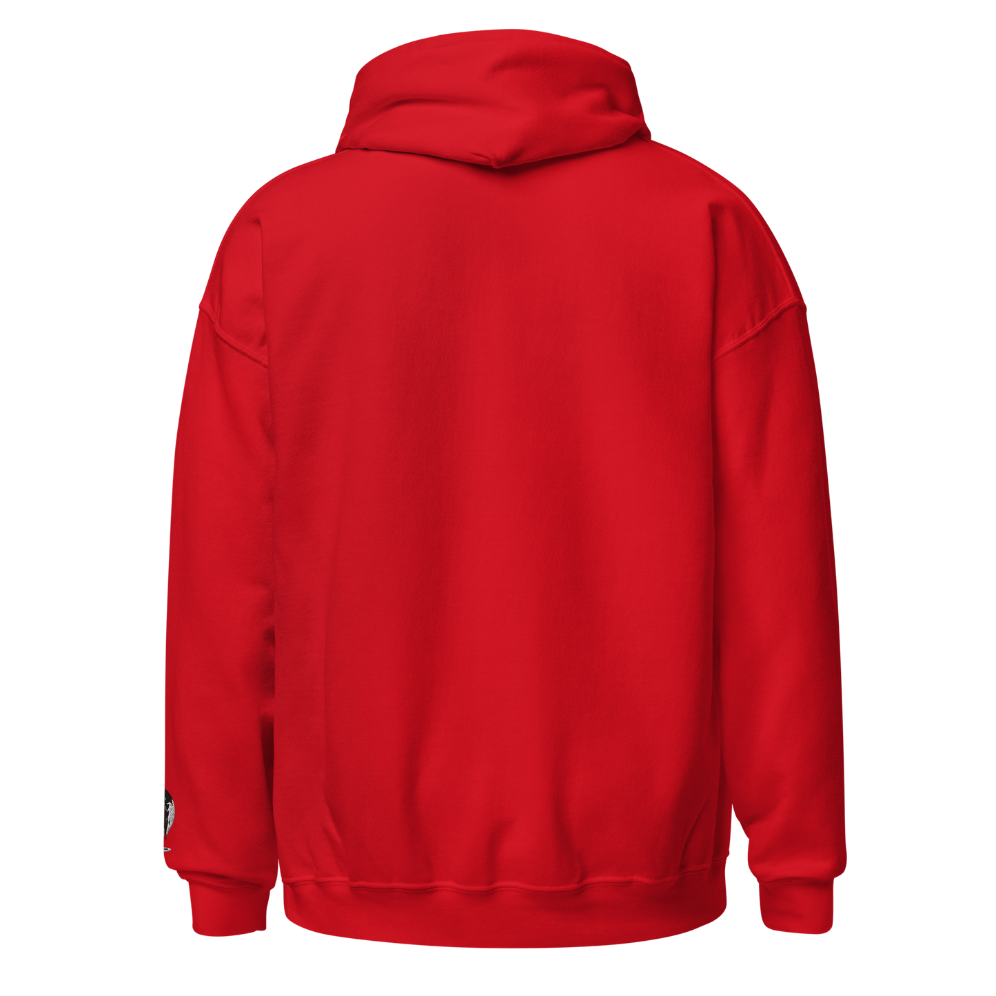 UDC HOODIE - OG