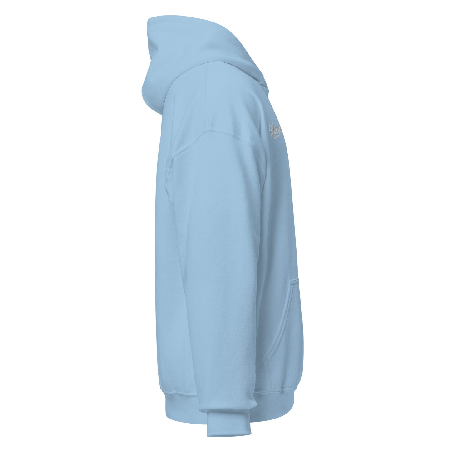 UDC HOODIE - OG