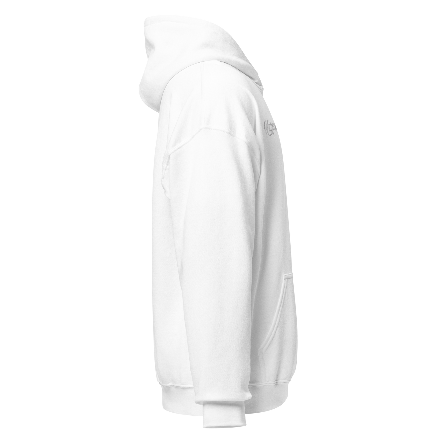UDC HOODIE - OG
